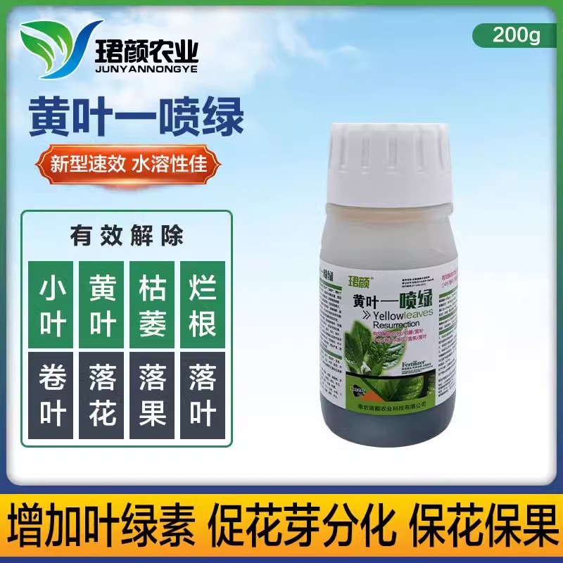 珺颜黄叶一喷绿小叶变大黄叶变绿蔬菜花卉果树通用肥料
