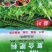 【四川产三元复合肥，优质肥料助力丰收】量大质优，欢迎电话洽谈
