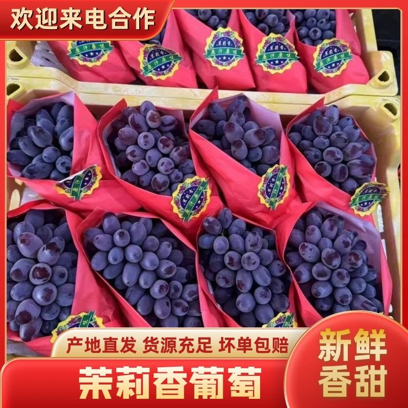 【实力商家】精品茉莉香葡萄甜度高果品好/现摘现发量大优惠