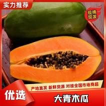 广东大青木瓜原产地现货，全国对接包装以及物料包上车