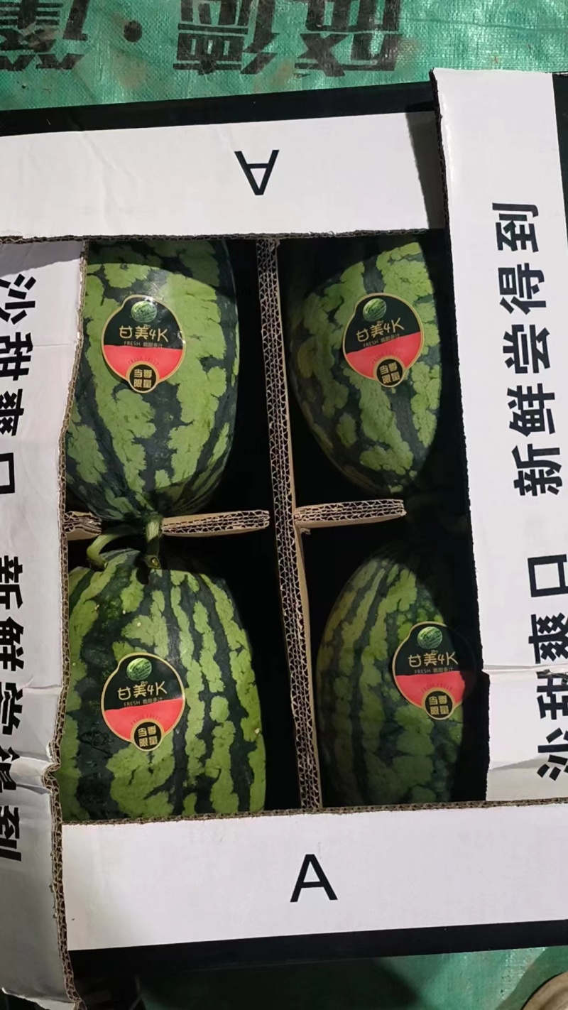【精品】甘美4K西瓜甜度高产地直发对接全国电商市场