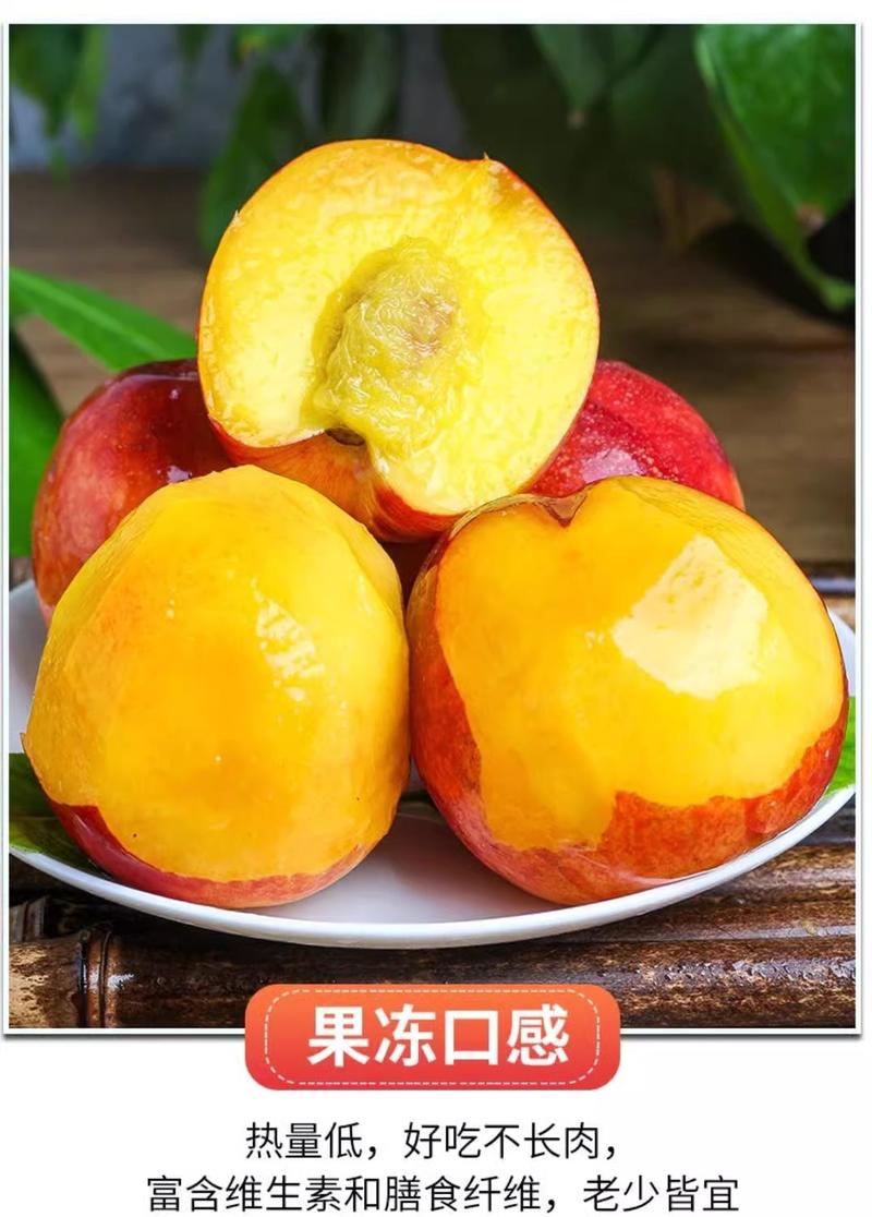 【果园直发】黄心油桃中油油桃大量现货可视频看货一件代发