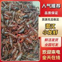 湖北潜江小龙虾当食料可以喂鳜鱼，黒鱼，甲鱼，鸭子，鹅等