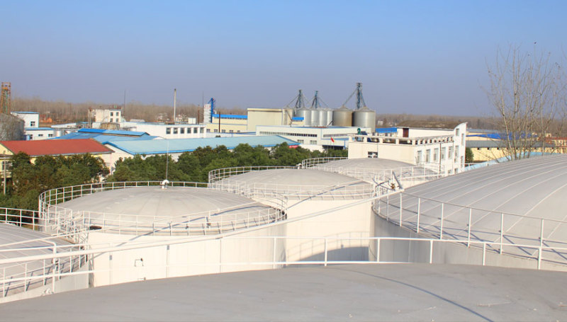 申源一级压榨菜籽油菜籽油非转基因口感香醇工厂直发