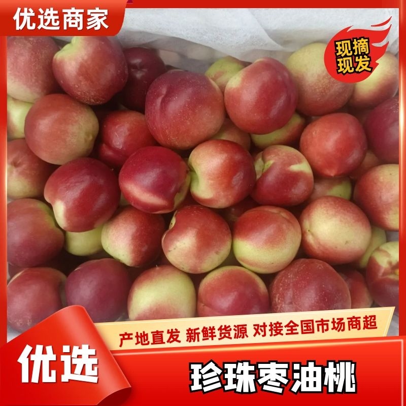 珍珠枣油桃湖北货果面干净白肉离核香甜大量有货