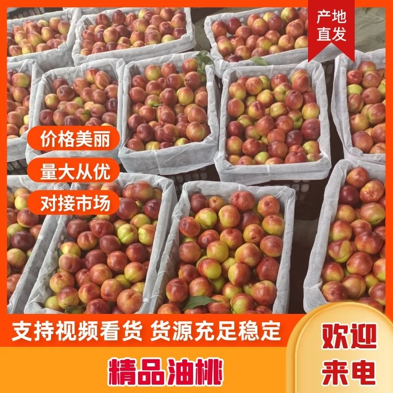 湖北油桃白肉油桃黄肉油桃市场货电商果可日供5万起
