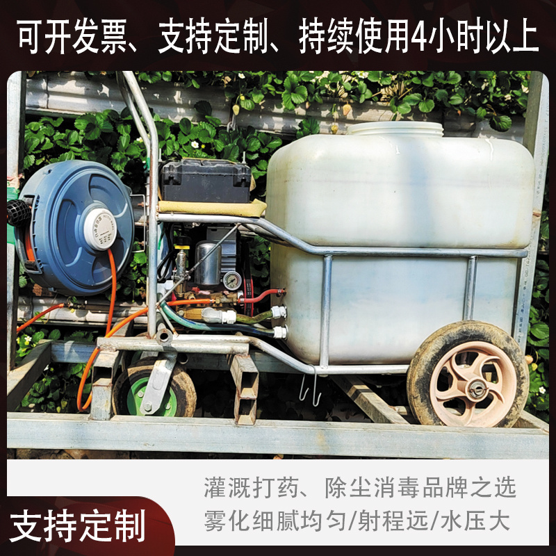 推车式喷雾器园林绿化农用轨道式喷洒机大棚杀虫消毒车电动打
