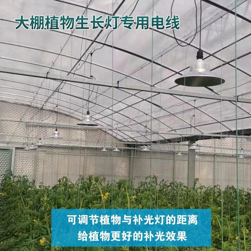 蔬菜花卉大棚专用带线灯口40米10灯头专用防水灯头跑马线