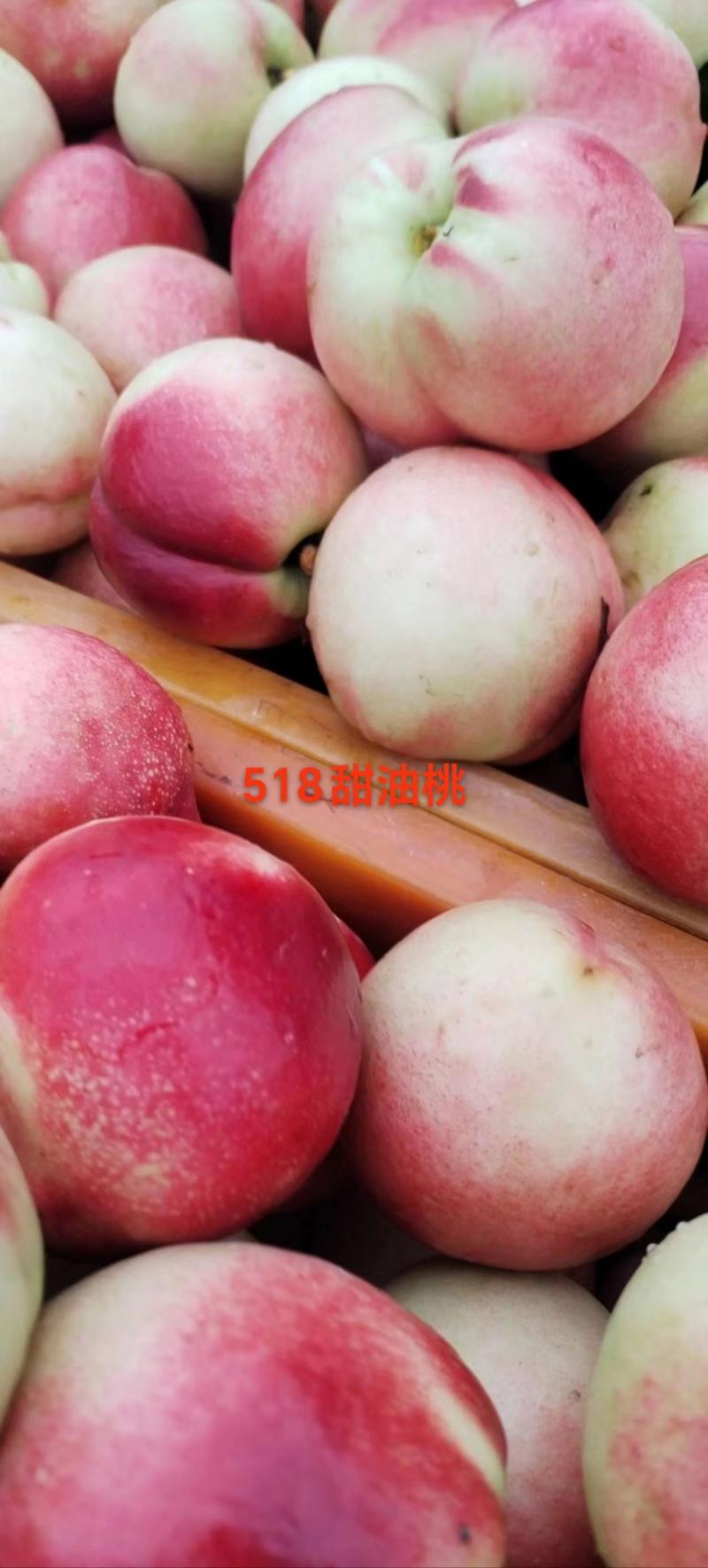 湖北襄阳518油桃原产地发货一手货源批发品质保证价格美丽
