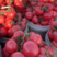 硬粉西红柿万亩种植精品优5大量上市欢迎咨询合作