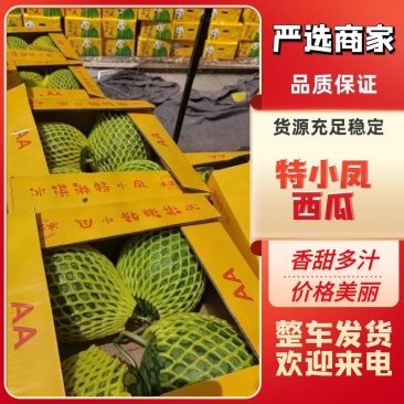 【推荐】江苏精品特小凤西瓜，一手货源，量大从优，可视频看货