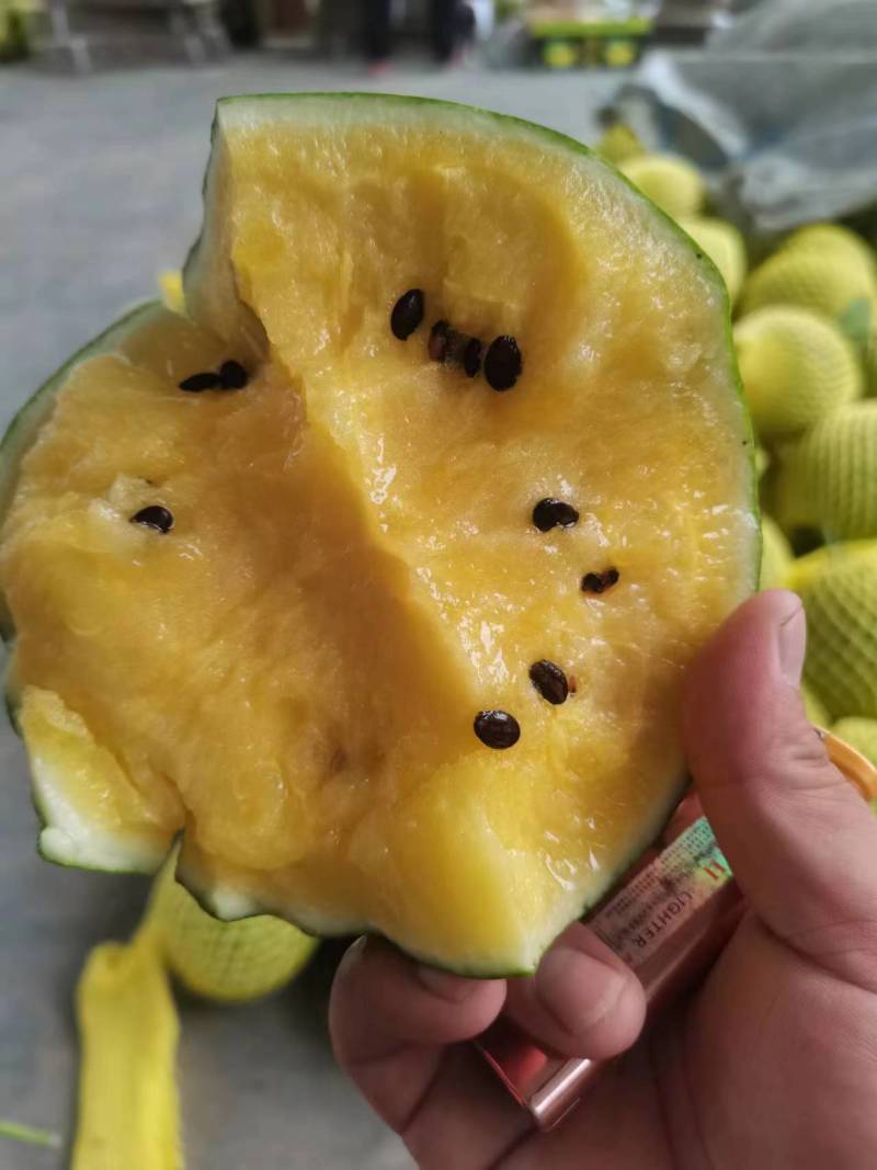 【推荐】江苏精品特小凤西瓜，一手货源，量大从优，可视频看货