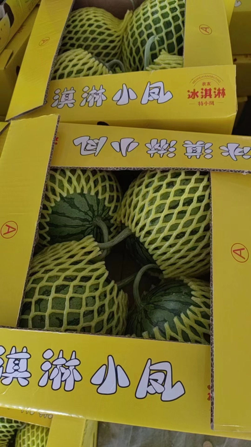 【推荐】江苏精品特小凤西瓜，一手货源，量大从优，可视频看货
