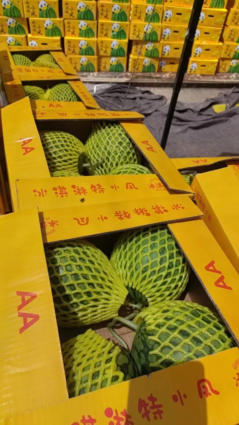 【热销】宿迁优质特小凤西瓜，规格齐全，货量充足，欢迎联系