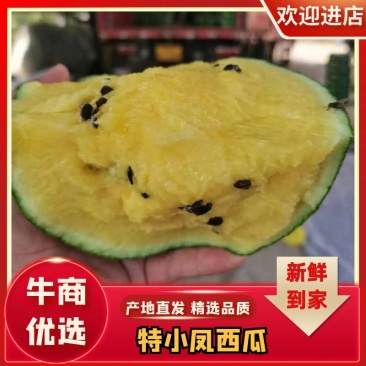 【热销】宿迁优质特小凤西瓜，规格齐全，货量充足，欢迎联系