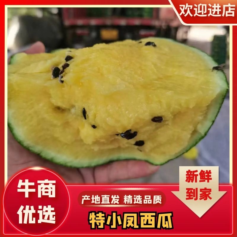 【热销】宿迁优质特小凤西瓜，规格齐全，货量充足，欢迎联系