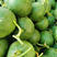 绿宝石甜瓜种子薄皮超甜香瓜种子春季四季脆瓜早熟高产