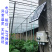 温湿度计传感器大棚远程电话手机APP4G记录仪报警器养殖