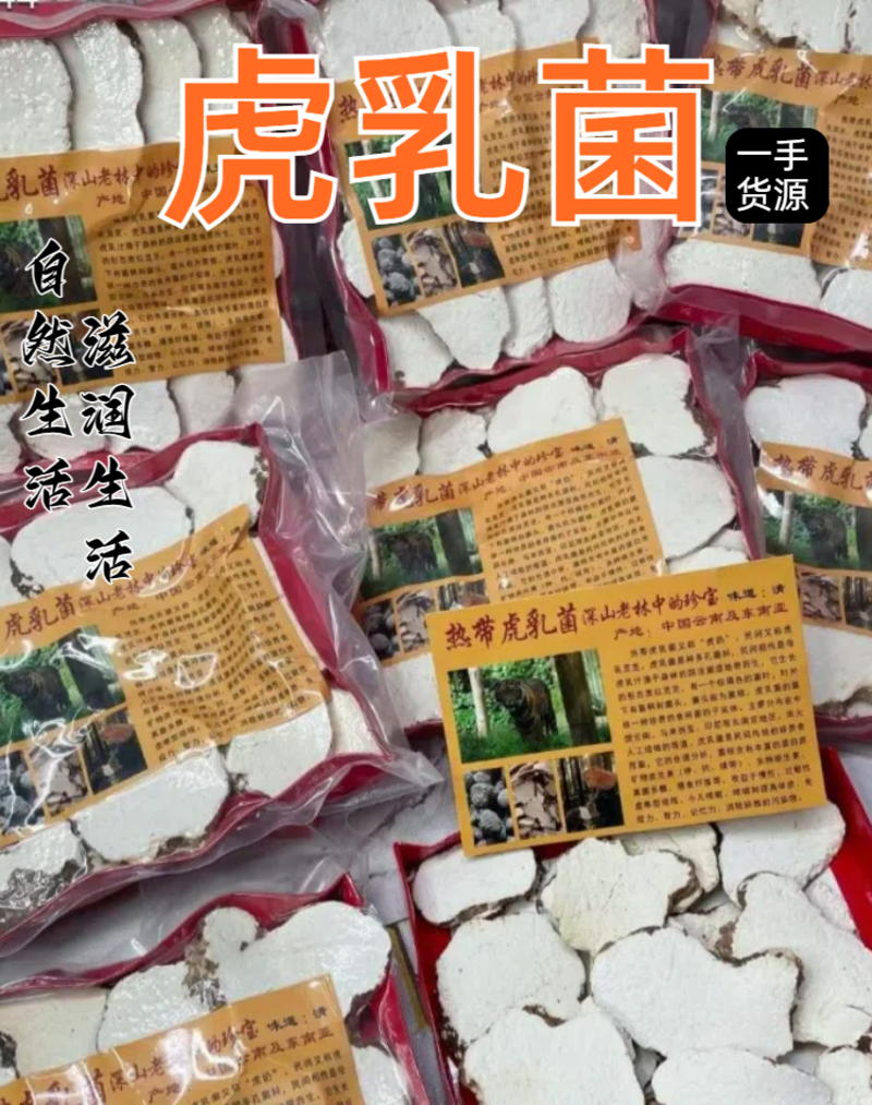 虎乳菌虎奶菇盒装散装一手货源产地直销价格便宜