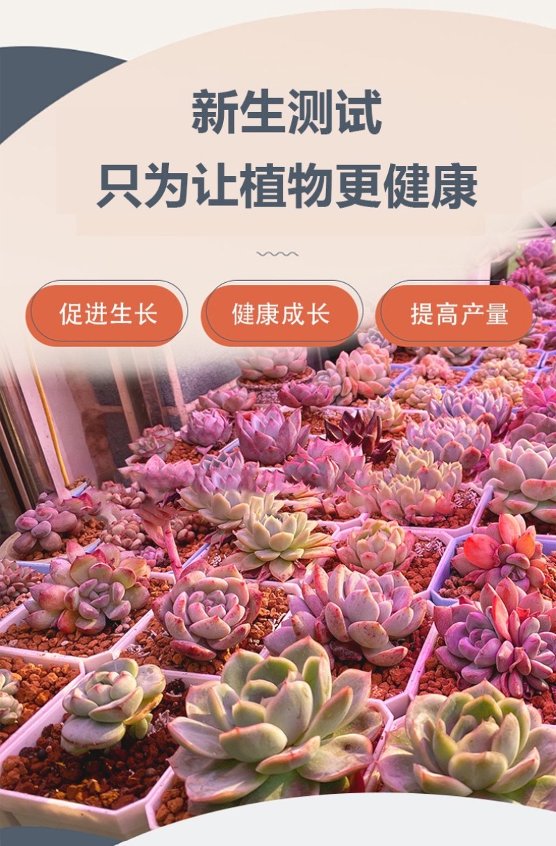 太阳能大功率LED全光谱植物生长灯植物补光花卉蔬菜通用仿