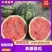 河南无籽美都西瓜麒麟西瓜大量上市产地直发欢迎抢购