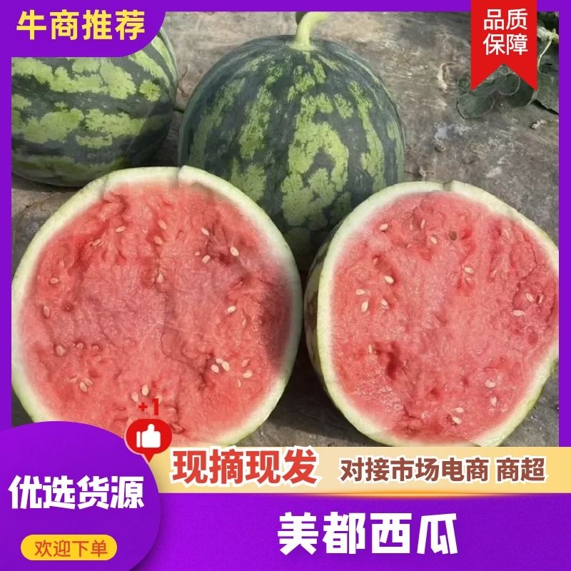 河南无籽美都西瓜麒麟西瓜大量上市产地直发欢迎抢购