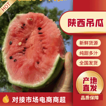 【精品】西瓜陕西吊瓜-全美2k西瓜-产地直发价格低回购高