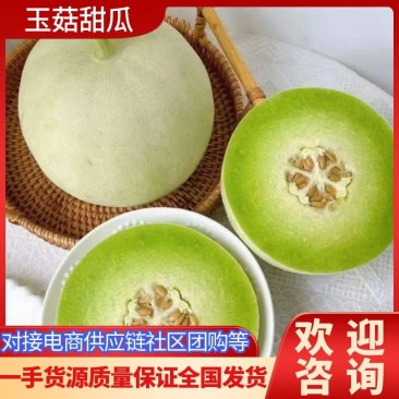 山东单县玉菇甜瓜冰清玉姑产地直供电商微商批发市场