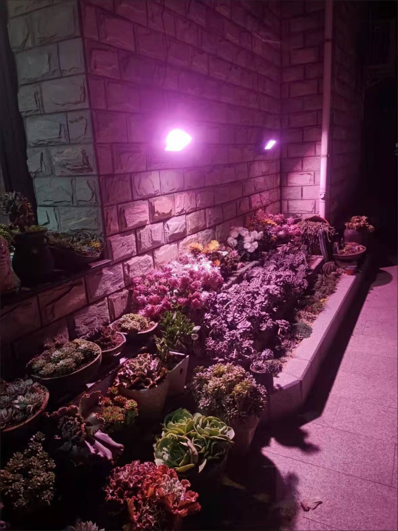 太阳能大功率LED全光谱植物生长灯植物补光花卉蔬菜通用仿