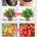 太阳能大功率LED全光谱植物生长灯植物补光花卉蔬菜通用仿