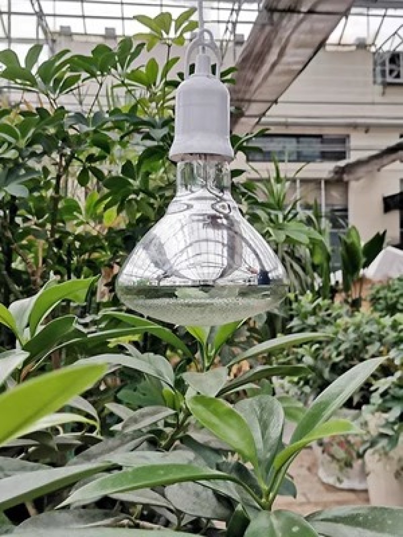 慧控生长灯动植物增温灯植物灯大温室花卉蔬菜保温灯红外线灯