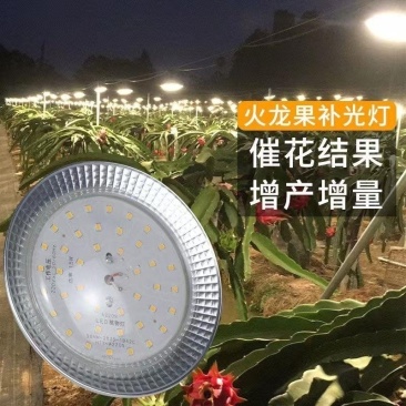 15瓦全光谱户外火龙果补光反季催熟灯泡大棚蔬菜飞碟生长灯