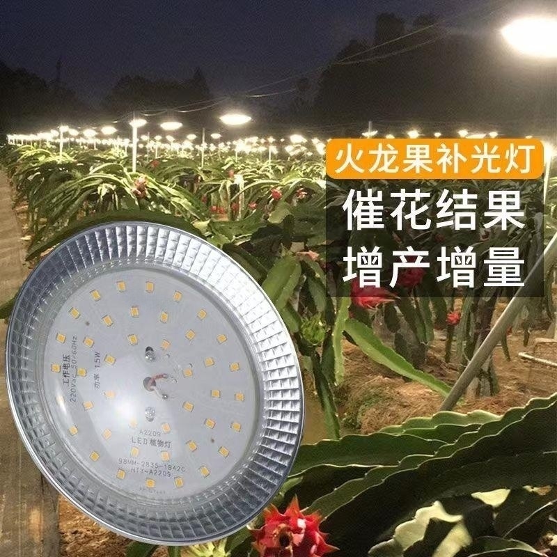 15瓦全光谱户外火龙果补光反季催熟灯泡大棚蔬菜飞碟生长灯