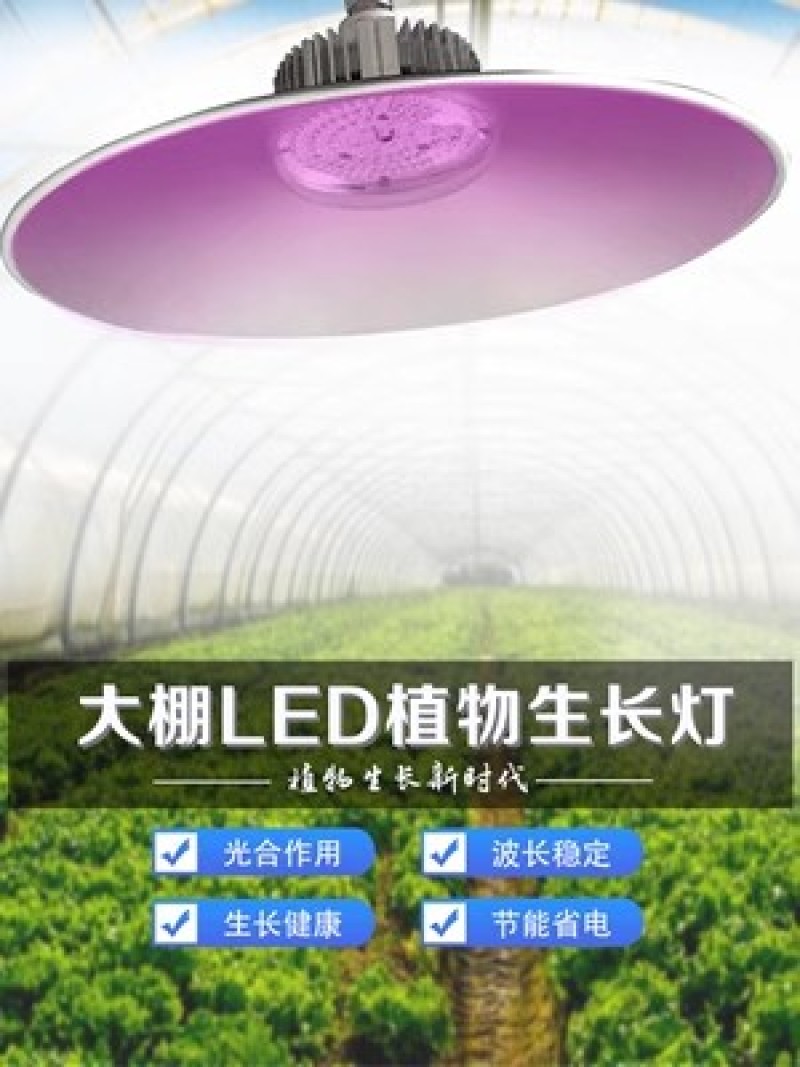 植物生长灯LED温室大棚室内家用蔬菜盆栽花卉绿植多肉补光