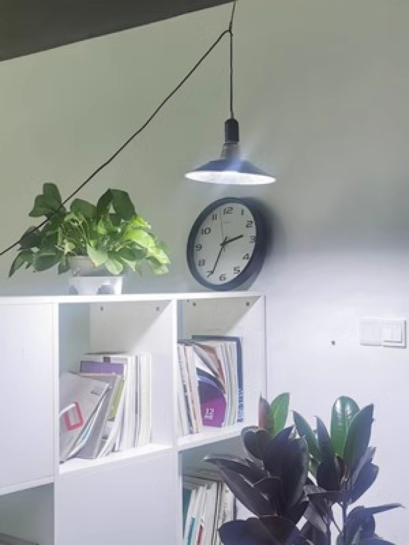 植物生长灯LED温室大棚室内家用蔬菜盆栽花卉绿植多肉补光