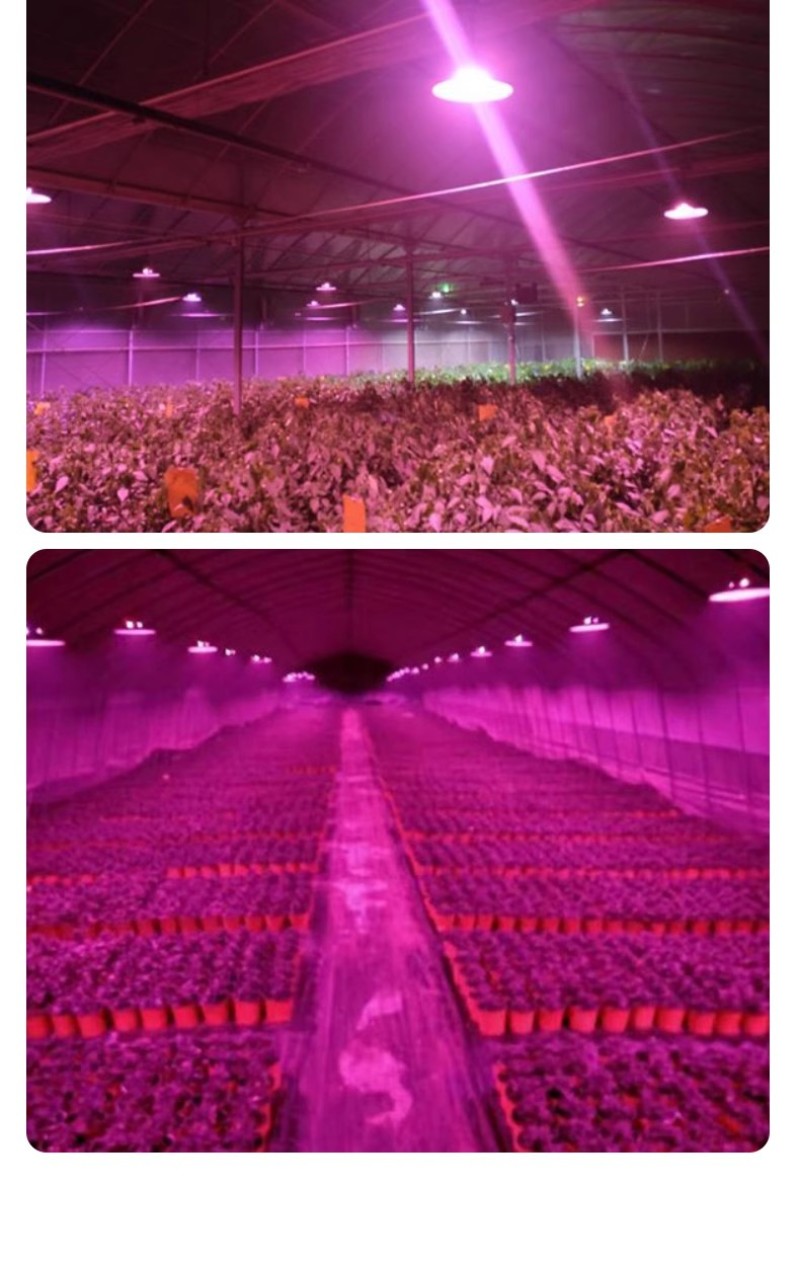 植物生长灯LED温室大棚室内家用蔬菜盆栽花卉绿植多肉补光