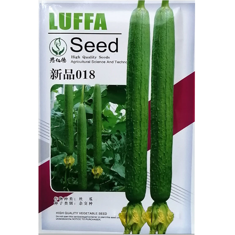 丝瓜种子新品018绿王子杂交一代高产早熟香丝瓜