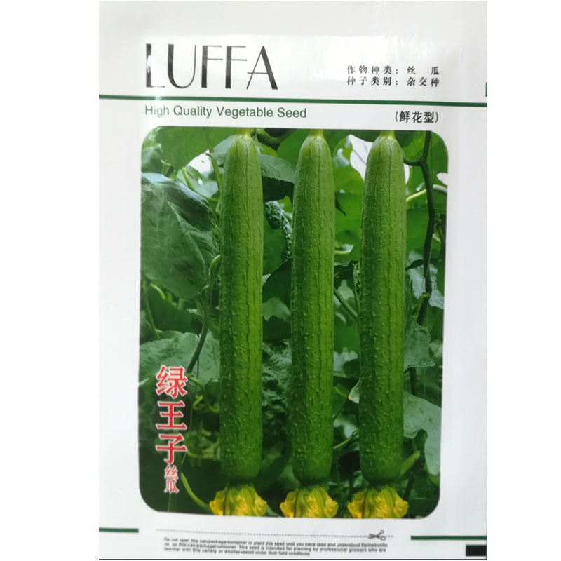 丝瓜种子新品018绿王子杂交一代高产早熟香丝瓜