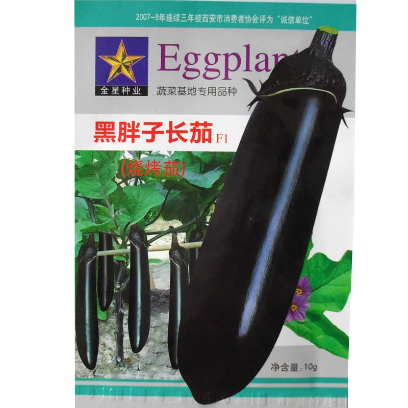 黑胖子长茄子种子烧烤茄蔬菜基地高产用黑茄子种子中早