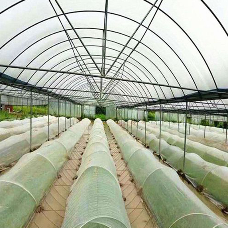温室大棚加厚防虫网家用庭院防蚊防虫放鸟放风口防尘纱尼龙纱
