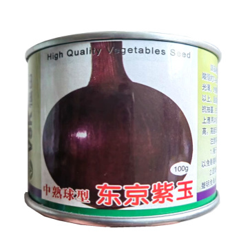 基地用洋葱种子东京紫玉100g深紫红色中熟球形紫