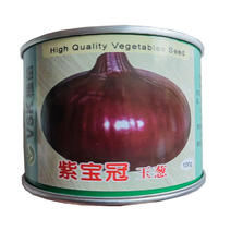 日本进口蔬菜基地大田圆葱头紫宝冠玉葱球葱紫皮洋葱种子10