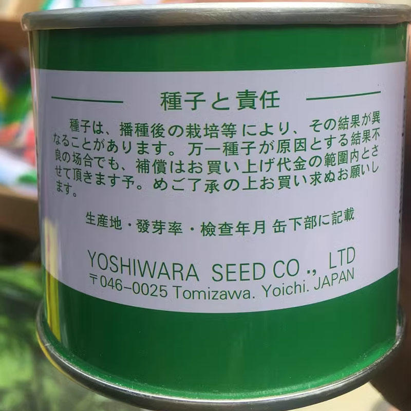 日本进口蔬菜基地大田圆葱头紫宝冠玉葱球葱紫皮洋葱种子10