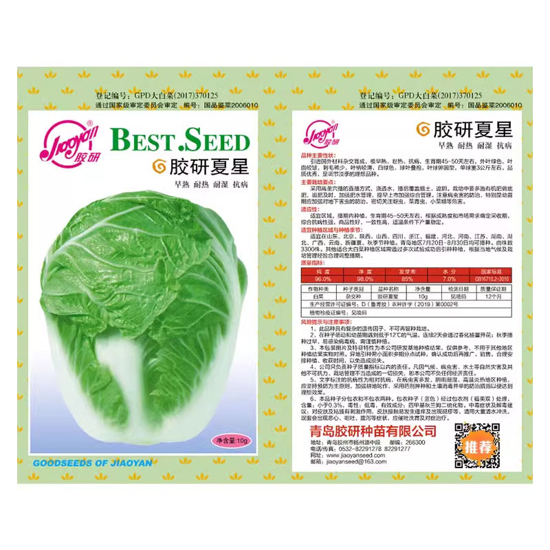 夏星大白菜种子夏季越夏抗热50天早熟蔬菜阳台种菜四