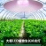全光谱led植物补光灯大棚蔬菜生长灯室内阳台种植灯多肉植