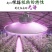 全光谱led植物补光灯大棚蔬菜生长灯室内阳台种植灯多肉植