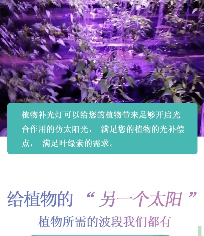 全光谱led植物补光灯大棚蔬菜生长灯室内阳台种植灯多肉植