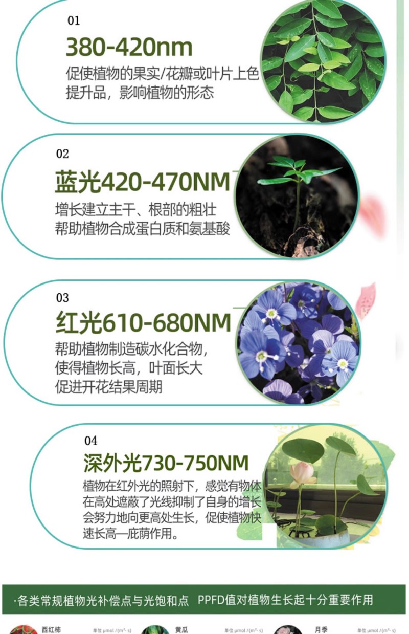 全光谱led植物补光灯大棚蔬菜生长灯室内阳台种植灯多肉植