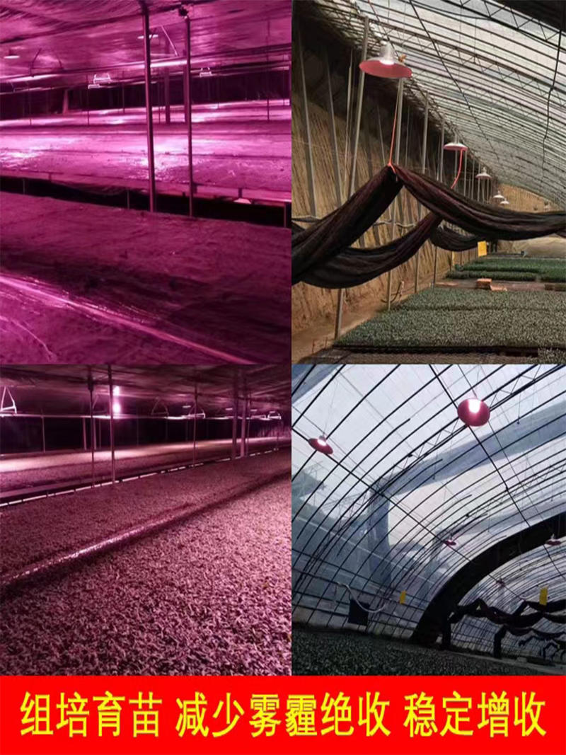 LED全光谱绿植补光灯/大棚温室植物生长灯室内阳台花卉补