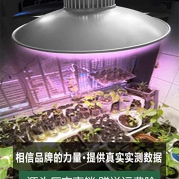 LED全光谱绿植补光灯/大棚温室植物生长灯室内阳台花卉